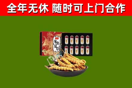 临潼烟酒回收冬虫夏草礼盒.jpg